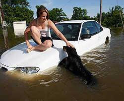 Одна из главных улиц Лос-Анджелеса оказалась под водой 