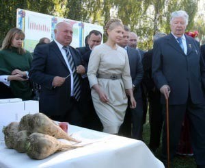 Тимошенко съездила на буряки 
