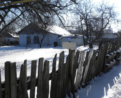 Бабушка  от безденежья похоронила  мужа в огороде (фото) 