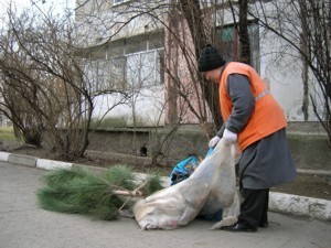 Евпаторийские дворники посоревнуются между собой 