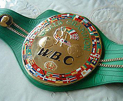 WBC назначил главных претендентов на пояс Виталия Кличко 