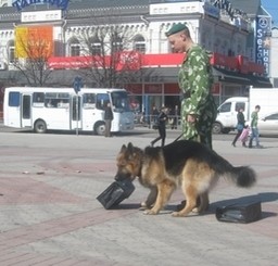 Пограничники отметят праздник со стрельбой  