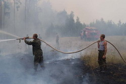 Запрет на пикники в лесах откладывается из-за дождей 