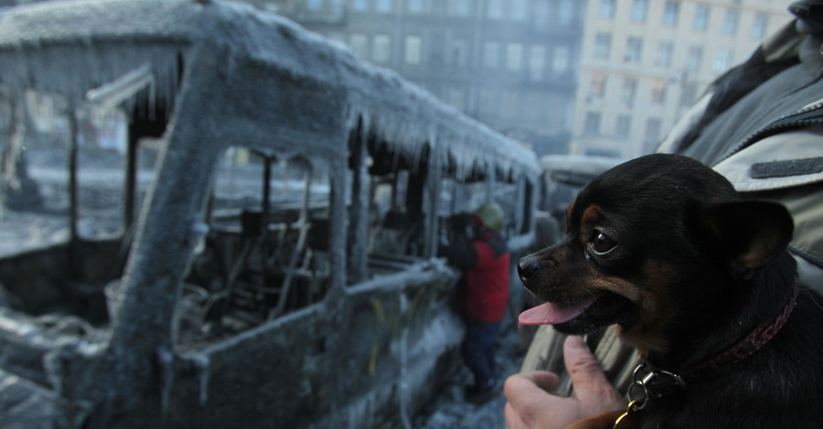 Обледенелый Лобановский и потухшие костры - на Грушевского перемирие
