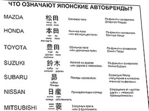 Украинцы ездят за рулем «водяных орехов» и «соснового поля»