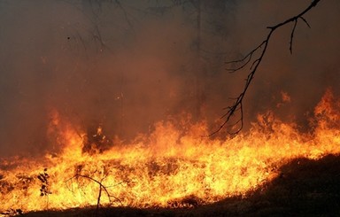 Донецк могло засыпать радиоактивным пеплом