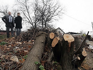 В столице уничтожают очередной сквер