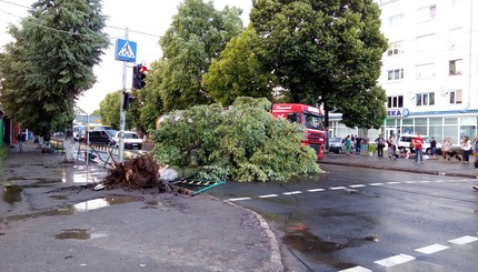 Последствия шторма в Луцке