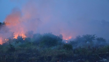 В Николаеве загорелась стихийная свалка