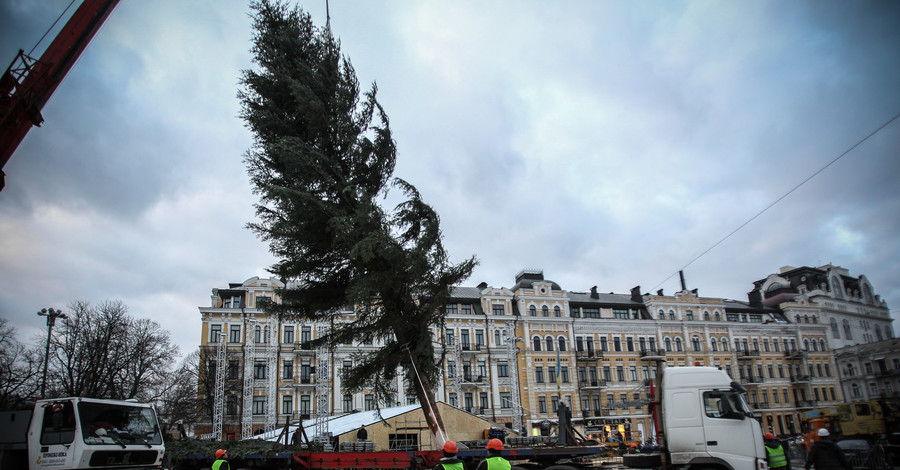В Киев с трембитами приехала главная елка страны