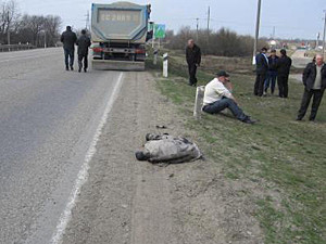 Водитель грузовика случайно задавил собственного двухлетнего сына