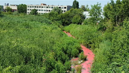 Экологическая катастрофа под Киевом: вода в реке Стугна окрасилась в красный цвет 