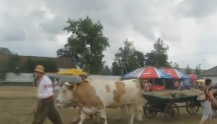 На Сорочинской ярмарке все дорого, но весело