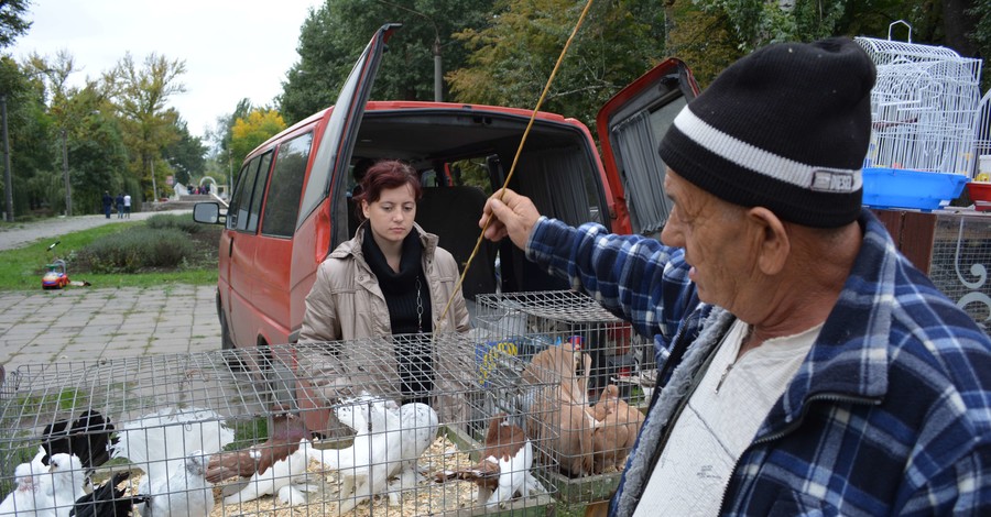 Выставка птиц в Запорожье