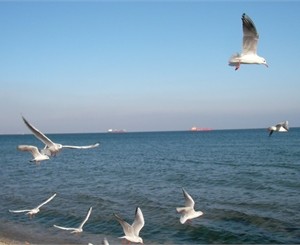 В Черном море вода просто ледяная