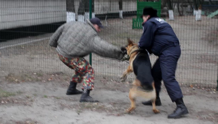 В Киеве в метро появились собаки