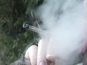 Половина американцев хочет легализации марихуаны
