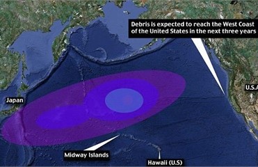 Тонны японского мусора плывут в сторону Америки