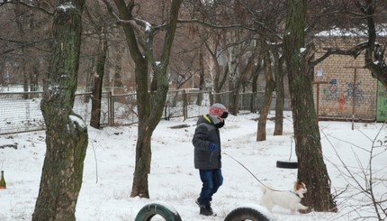 Запорожье засыпает снегом