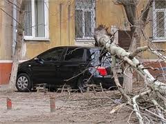 В Польше буря развалила десятки домов и изувечила сотни машин