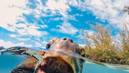 ТОП-15 лучших фотографий 2015 года по версии GoPro