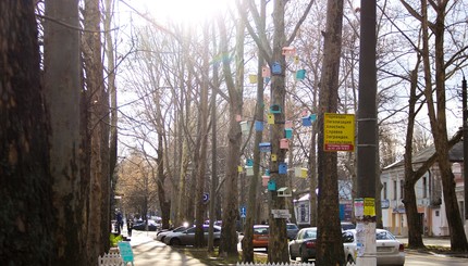 В Николаеве появилось птичье царство