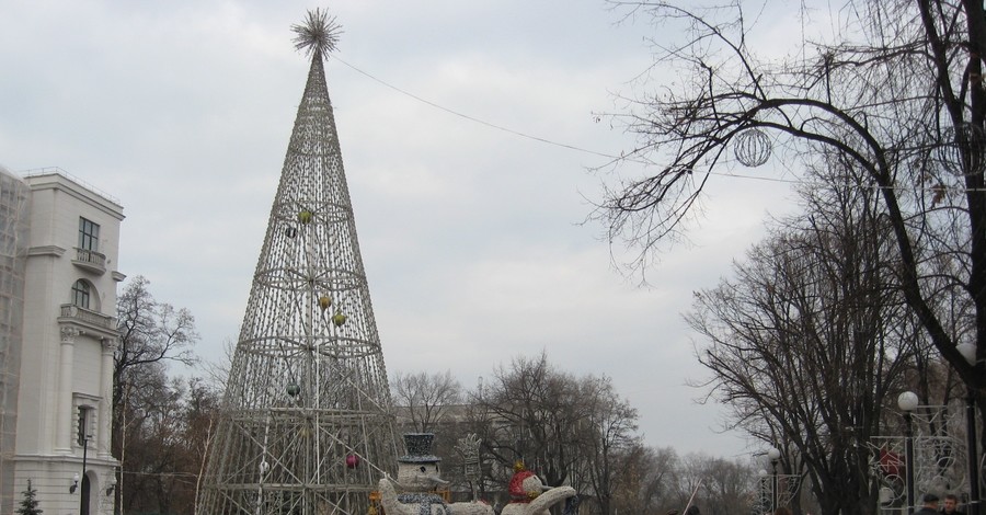 В городе зажгут 25 новогодних елок