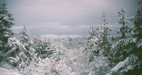 В Болгарии из снежного плена спасли украинских туристов