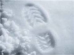 Ветер из России спровоцировал 