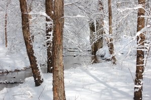 Из-за морозов не учатся все школьники в четырех регионах