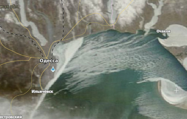 Из-за толстого льда в одесских лиманах может исчезнуть рыба