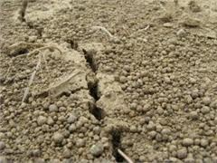 У берегов Камчатки произошло землетрясение