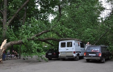 На ХТЗ дерево разбило три машины