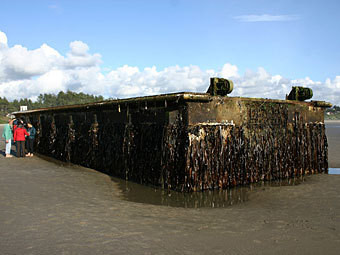 К берегу США принесло кусок японского причала