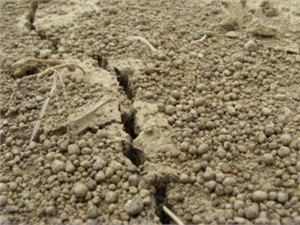 Турцию сильно тряхнуло: люди выпрыгивали с окон и балконов