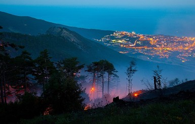 Ущерб от пожара в Ялтинском заповеднике оценивают в десятки тысяч гривен  