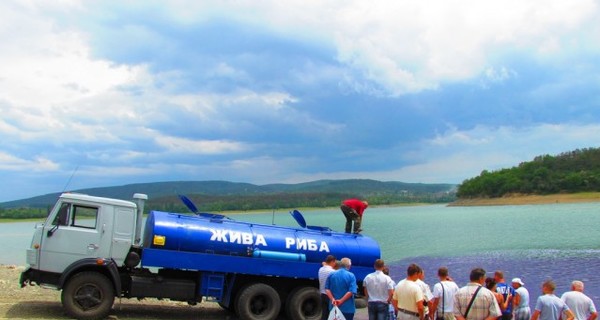 В столичное водохранилище выпустили тонну карпов