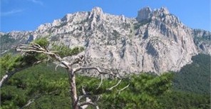 Взрыв в Бургасе официально признан терактом