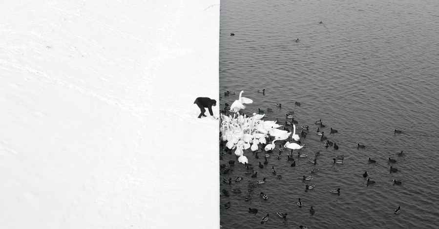 Лучшие черно-белые фотографии 2016 года