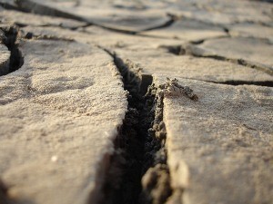 На востоке Италии произошло землетрясение