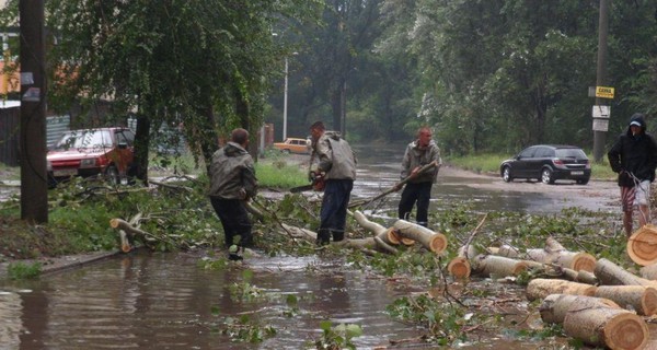 Ураган обошелся городу в три с лишним миллиона гривен 