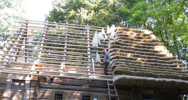 В Шевченковском гаю норвежцы реставрируют хаты