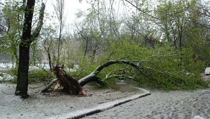 Снег в Запорожье