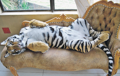 Игра в тигра 