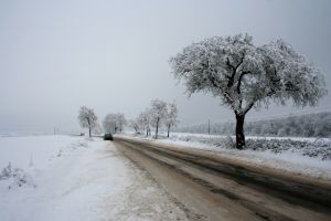 Голосеево уже подтапливает, транспорт с трудом проезжает по улице