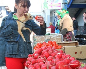 Итоги марта: цены поползли вниз 