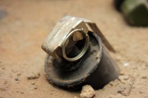 СМИ: Накануне бостонского теракта полиция США задержала киевлянина со взрывчаткой