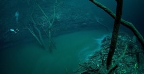 Одесские ученые обнаружили жизнь в самой глубокой точке Черного моря