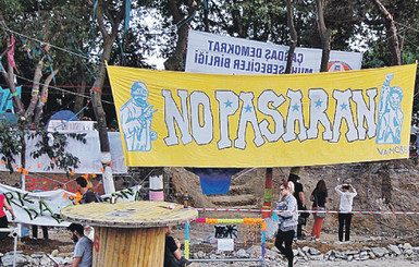 В Турцию стекаются революционеры со всего мира: 