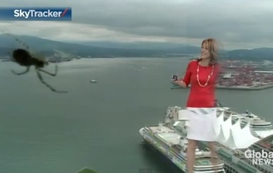 На канадскую телеведущую прямо в эфире напал огромный паук 